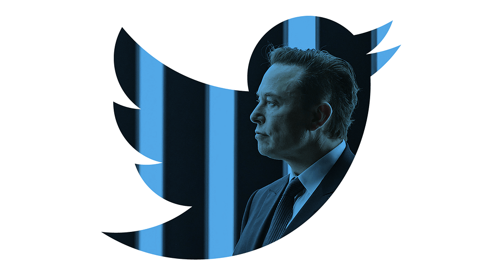 Elon Musk in the Twitter logo.